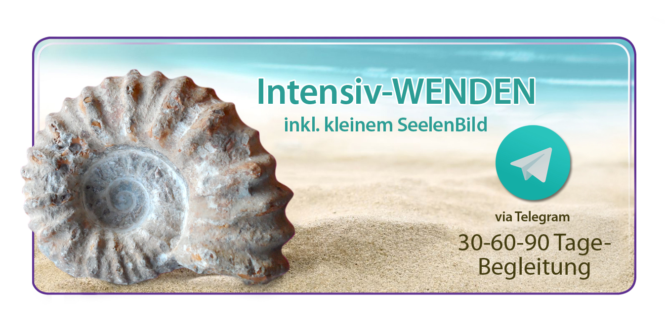 Transformation Banner 30-60-90 ohne HP u. ohne Handy Seelenbildstellen 7 Tage